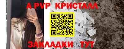 apvp Можга