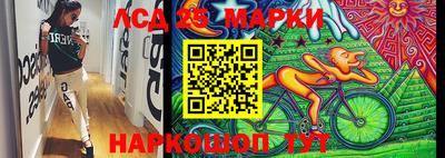apvp Можга