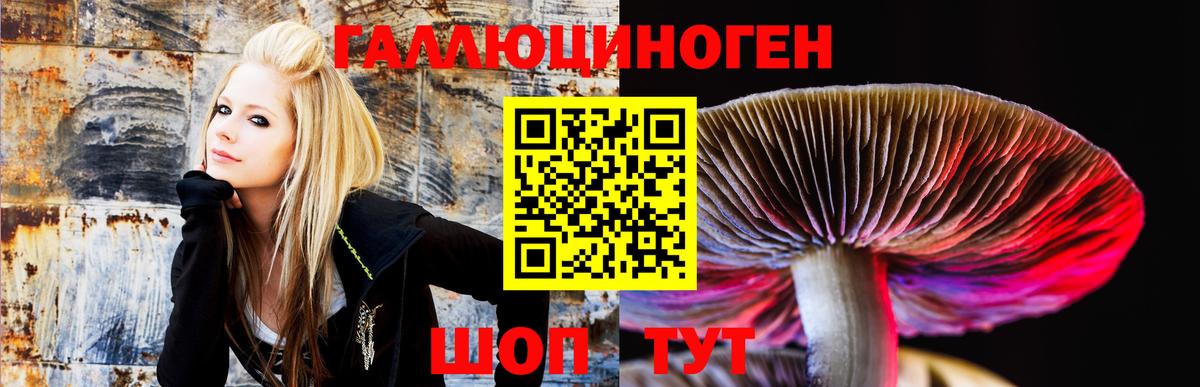 Уварово  Псилоцибиновые грибы прущие грибы  Псилоцибиновые грибы GOLDEN TEACHER  Вход с VPN 