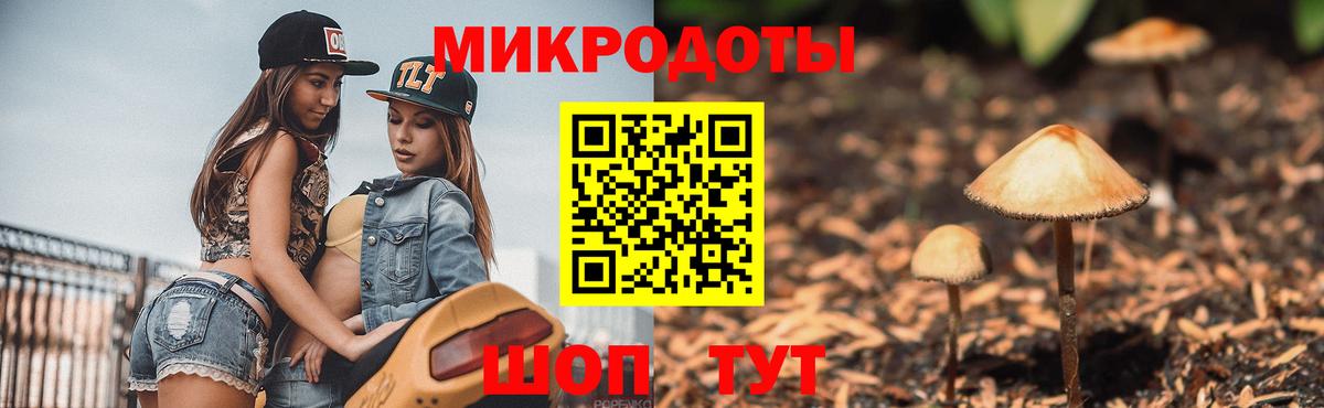 Псилоцибиновые грибы Cubensis Уварово